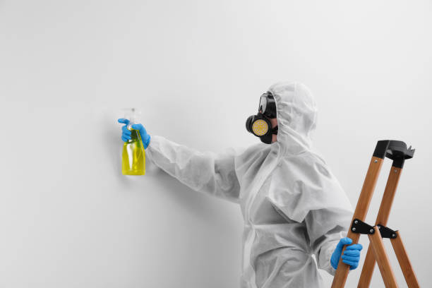 Professional Mold Removal & Remediation in North Newton, KS